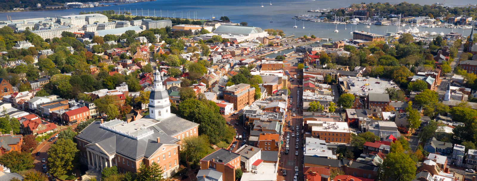 Maryland Bird Control, Bird Netting, Bird Removal