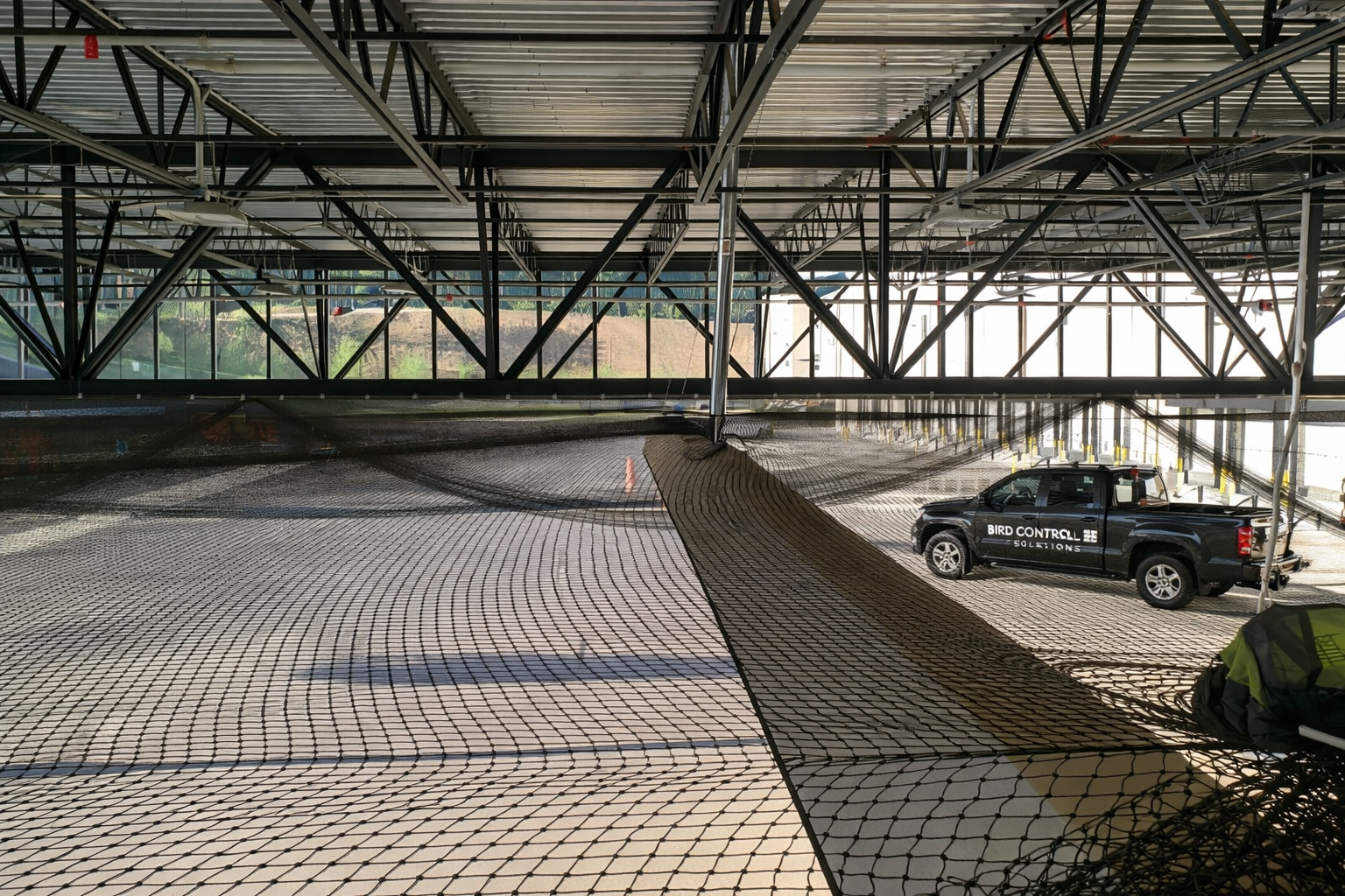 washington dc bird net installers