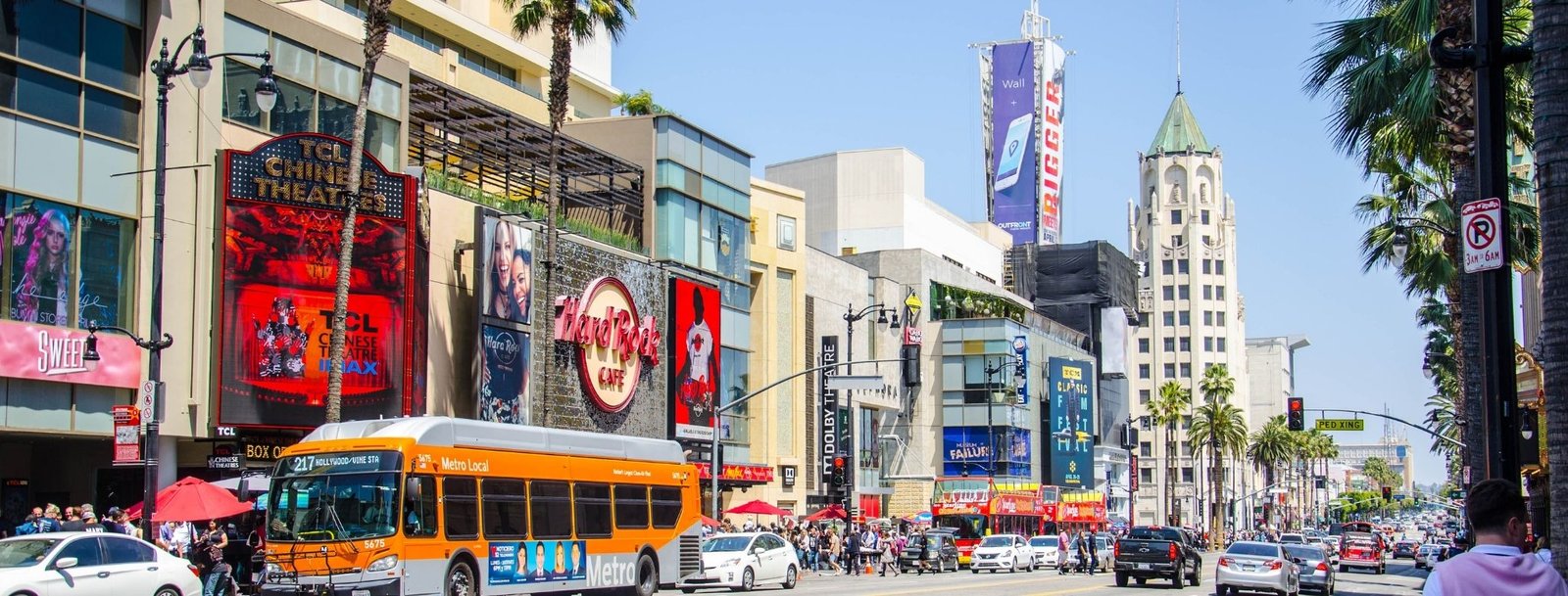 Los Angeles, CA Bird Control, Bird Netting, Bird Removal