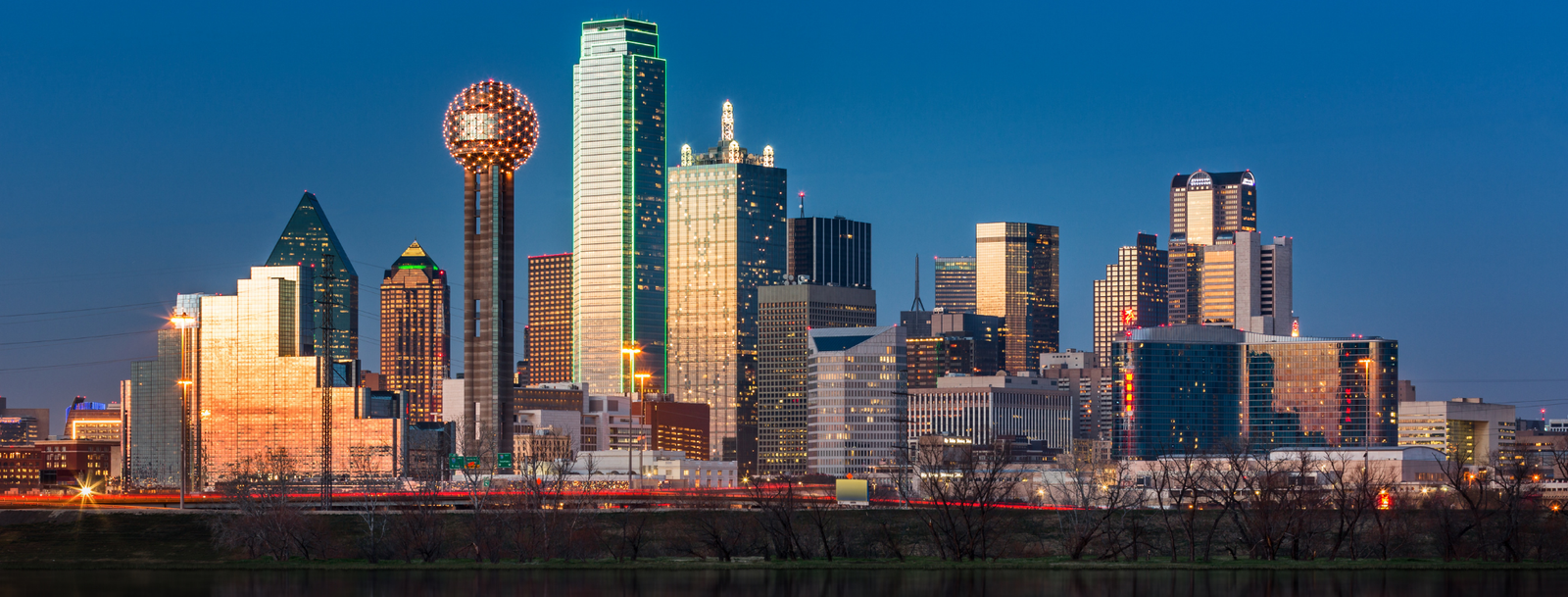 dallas TX bird removal, bird control