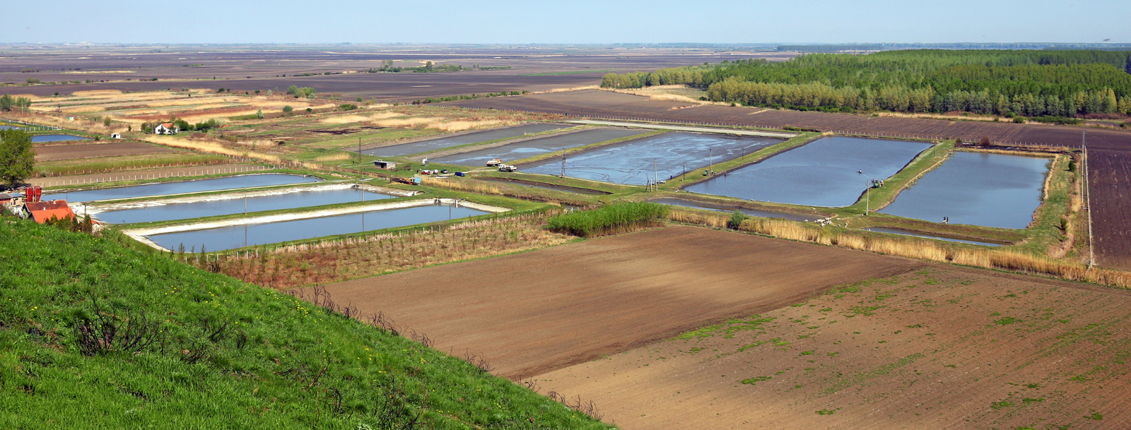 Fish Farm Bird Control Services