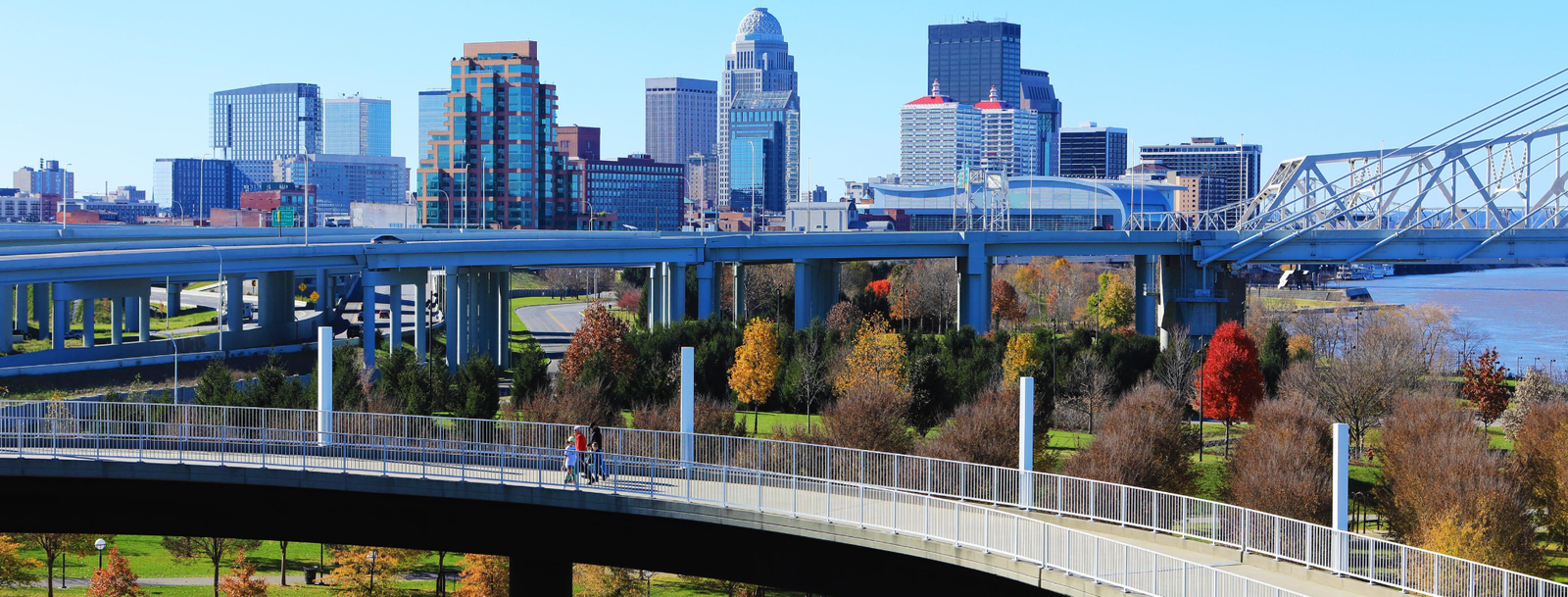 Kentucky Bird Control, Bird Netting, Bird Removal