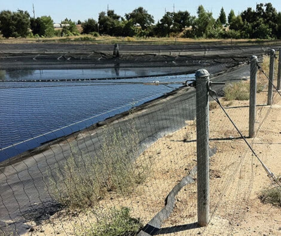 Pond Netting Bird Control Services