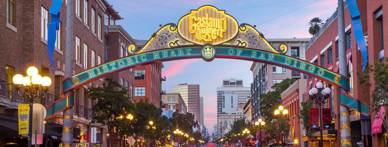 San Diego CA Bird Control, Bird Netting, Bird Removal