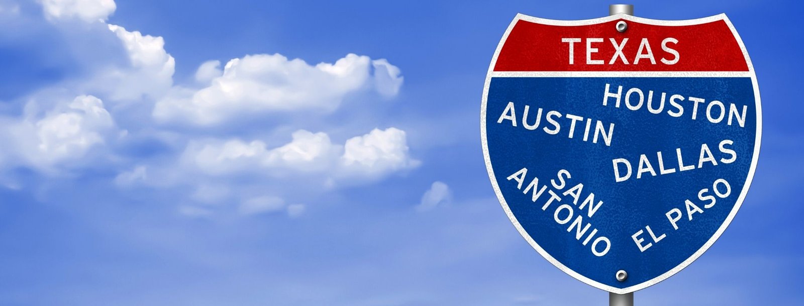 Corpus Christi, TX Bird Control, Bird Netting, Bird Removal